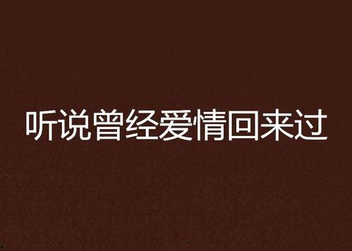 听说爱情曾来过,那些曾来过的温暖瞬间