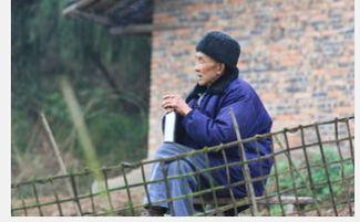 盼儿归儿未归,家的期盼与等待